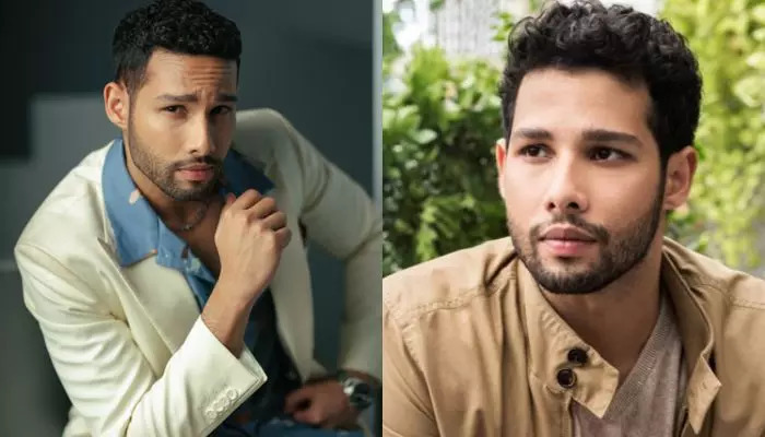Siddhant Chaturvedi Movies
